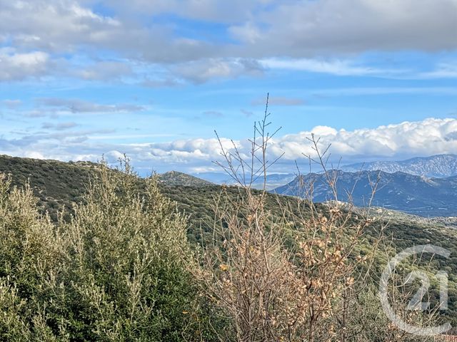 Maison &agrave; vendre - 7 pi&egrave;ces - 153 m2 - Santa Reparata Di Balagna - 202 - CORSE