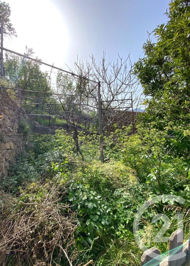 Maison &agrave; vendre - 4 pi&egrave;ces - 76,93 m2 - Belgodere - 202 - CORSE