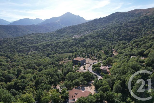 Maison &agrave; vendre - 10 pi&egrave;ces - 416 m2 - Pioggiola - 202 - CORSE
