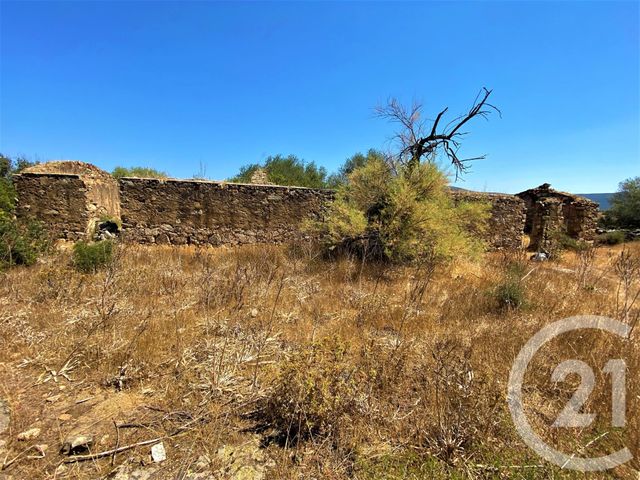 Afficher la photo en grand Terrain à vendre - 5245 m2 - Belgodere - 202 - CORSE