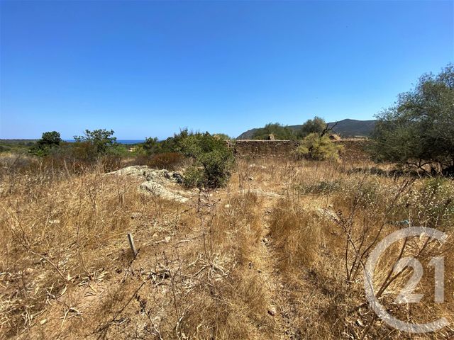 Afficher la photo en grand Terrain à vendre - 5245 m2 - Belgodere - 202 - CORSE