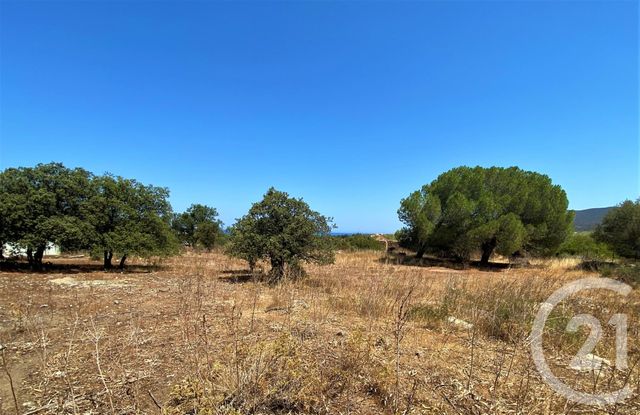 Afficher la photo en grand Terrain à vendre - 5245 m2 - Belgodere - 202 - CORSE