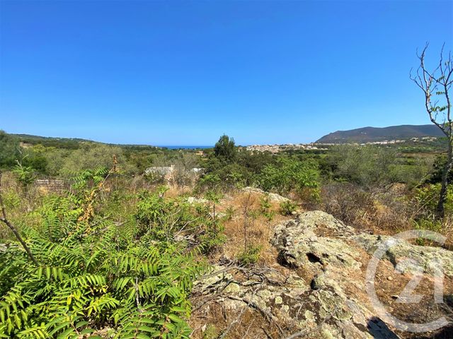 Afficher la photo en grand Terrain à vendre - 5245 m2 - Belgodere - 202 - CORSE