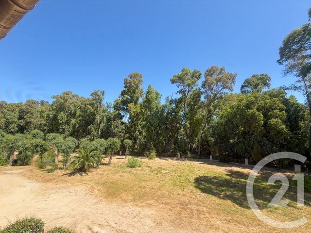 Appartement Studio &agrave; vendre - 1 pi&egrave;ce - 25,75 m2 - Calvi - 202 - CORSE