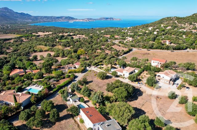Maison à vendre - 6 pièces - 136 m2 - Lumio - 202 - CORSE
