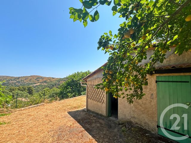 Maison &agrave; vendre - 4 pi&egrave;ces - 93 m2 - Cateri - 202 - CORSE