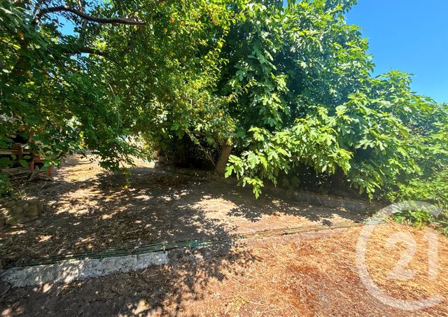 Maison &agrave; vendre - 4 pi&egrave;ces - 93 m2 - Cateri - 202 - CORSE