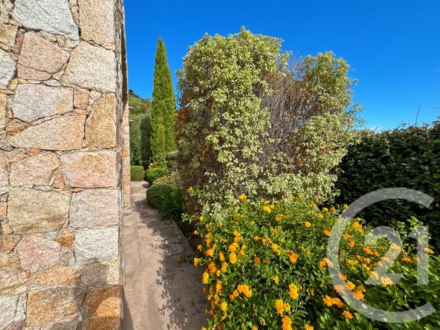 Maison à vendre - 8 pièces - 178 m2 - Santa Reparata Di Balagna - 202 - CORSE