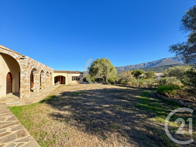 Maison à vendre - 6 pièces - 182,21 m2 - Speloncato - 202 - CORSE