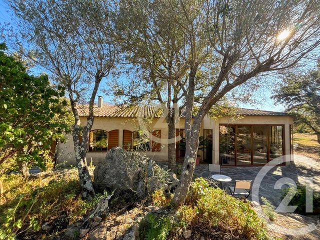 Maison à vendre - 6 pièces - 182,21 m2 - Speloncato - 202 - CORSE