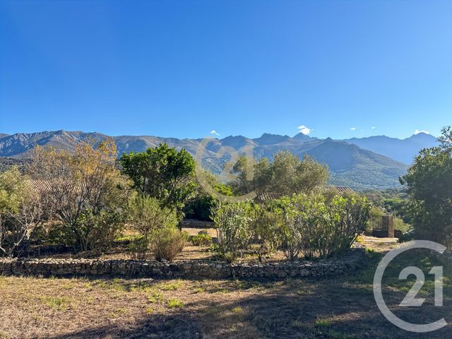 Maison à vendre - 6 pièces - 182,21 m2 - Speloncato - 202 - CORSE