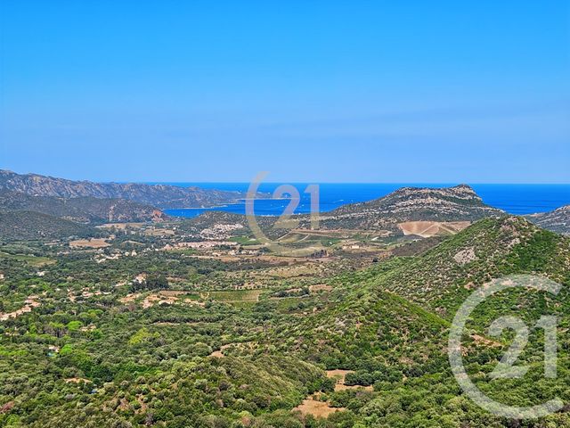Maison &agrave; vendre - 7 pi&egrave;ces - 157 m2 - Oletta - 202 - CORSE