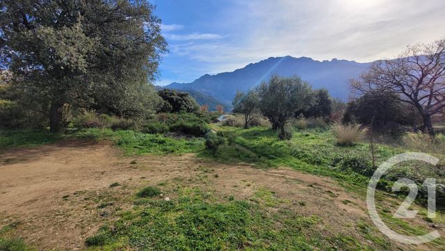 Terrain à vendre - 4100 m2 - Montegrosso - 202 - CORSE