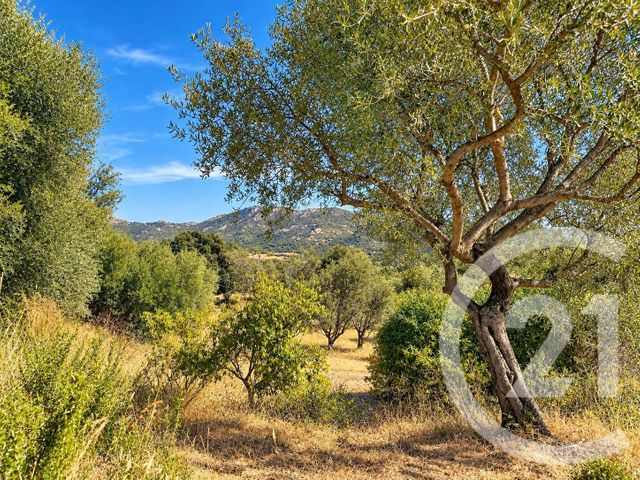 Maison &agrave; vendre - 4 pi&egrave;ces - 107,75 m2 - Ville Di Paraso - 202 - CORSE