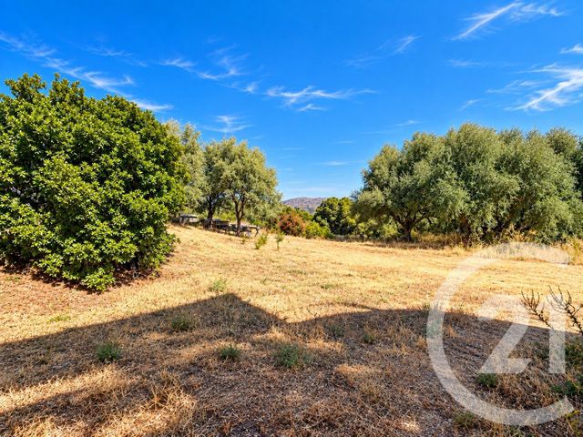 Maison &agrave; vendre - 4 pi&egrave;ces - 107,75 m2 - Ville Di Paraso - 202 - CORSE
