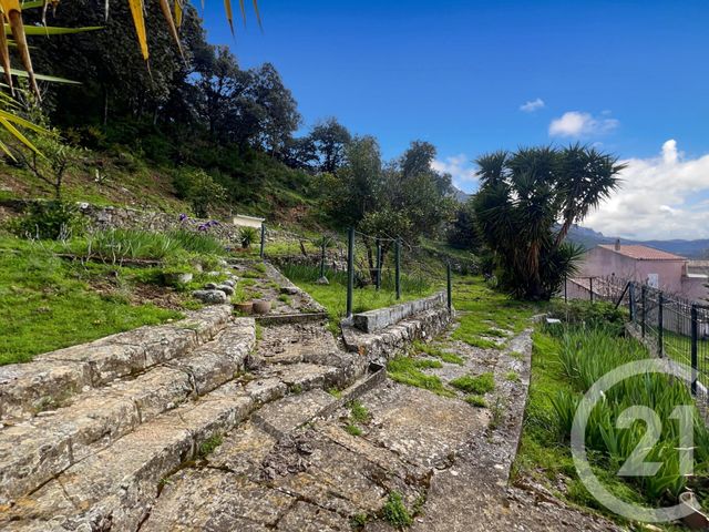 Maison &agrave; vendre - 6 pi&egrave;ces - 108,08 m2 - Zilia - 202 - CORSE