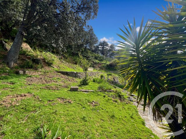 Maison &agrave; vendre - 6 pi&egrave;ces - 108,08 m2 - Zilia - 202 - CORSE