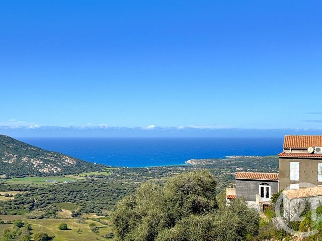 Maison à vendre - 4 pièces - 114,24 m2 - Lavatoggio - 202 - CORSE