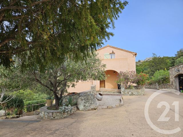 Maison à vendre - 5 pièces - 230 m2 - St Florent - 202 - CORSE