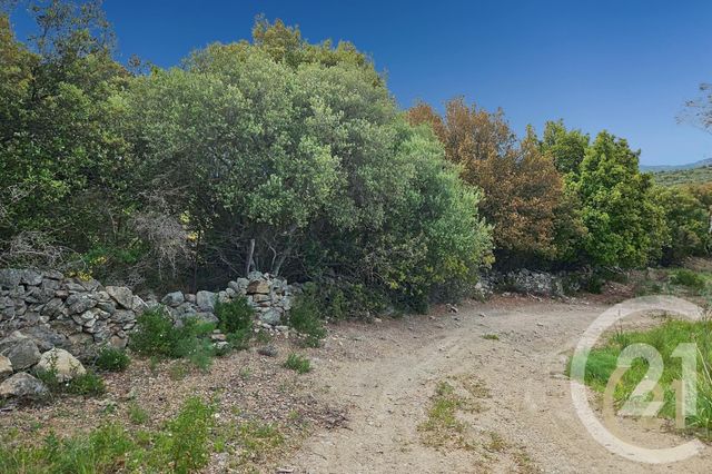 Maison à vendre - 5 pièces - 230 m2 - St Florent - 202 - CORSE