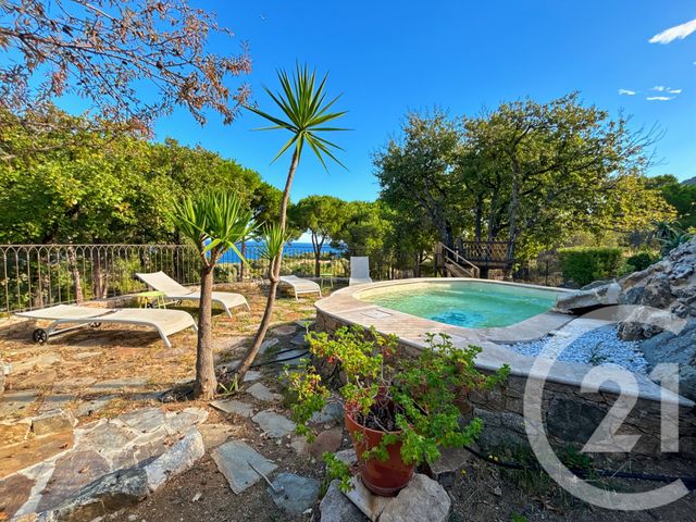 Maison &agrave; vendre - 5 pi&egrave;ces - 135 m2 - Corbara - 202 - CORSE