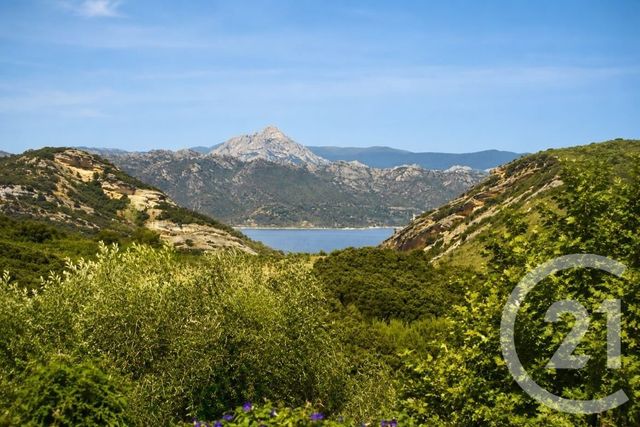 Maison &agrave; vendre - 7 pi&egrave;ces - 261,30 m2 - Patrimonio - 202 - CORSE