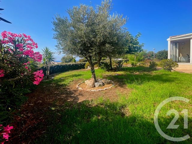 Maison à vendre - 5 pièces - 130 m2 - Monticello - 202 - CORSE