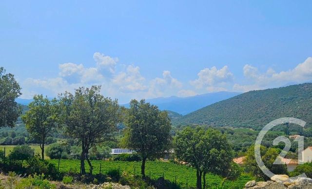 Appartement Studio à vendre - 1 pièce - 25 m2 - Oletta - 202 - CORSE