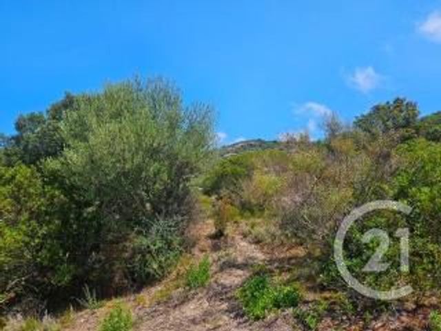 Appartement T2 à vendre - 2 pièces - 51 m2 - Oletta - 202 - CORSE