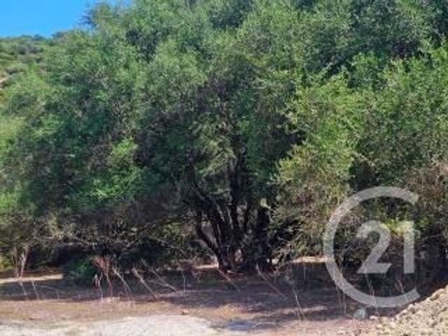 Appartement T4 à vendre - 4 pièces - 74 m2 - Oletta - 202 - CORSE