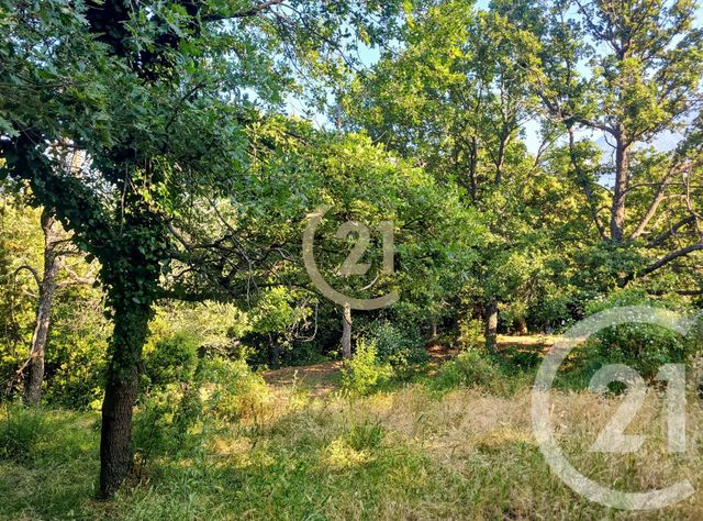 Terrain &agrave; vendre - 1459 m2 - Olmi Cappella - 202 - CORSE