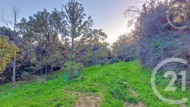Terrain &agrave; vendre - 1819 m2 - Olmi Cappella - 202 - CORSE