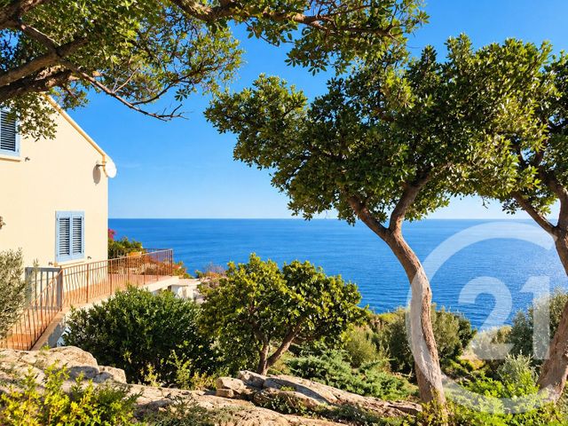 Maison &agrave; vendre - 6 pi&egrave;ces - 181,91 m2 - San Martino Di Lota - 202 - CORSE