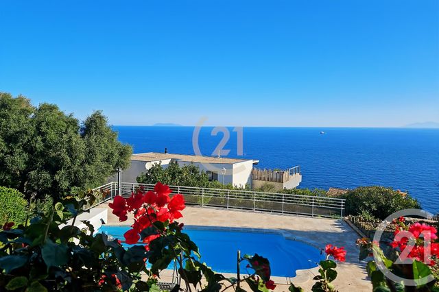 Maison &agrave; vendre - 6 pi&egrave;ces - 181,91 m2 - San Martino Di Lota - 202 - CORSE