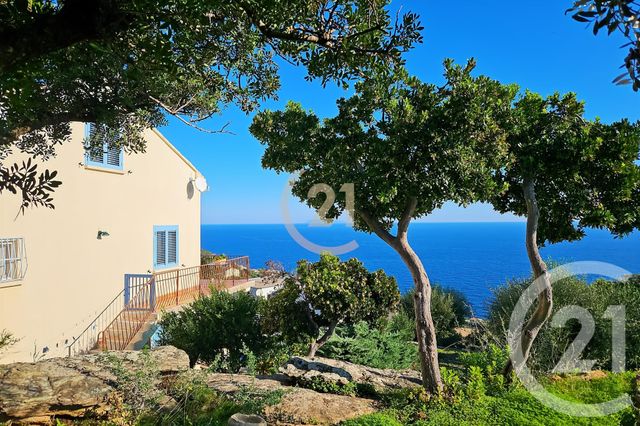 Maison &agrave; vendre - 6 pi&egrave;ces - 181,91 m2 - San Martino Di Lota - 202 - CORSE