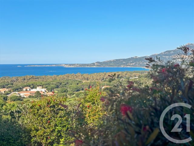 Maison à vendre - 20 pièces - 502 m2 - Calvi - 202 - CORSE