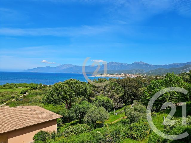 appartement - ST FLORENT - 202
