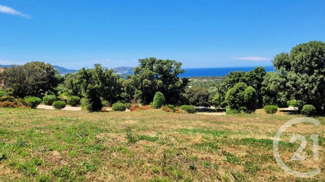 Terrain à vendre - 1850 m2 - Lumio - 202 - CORSE