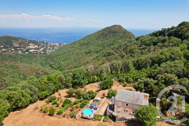 Maison &agrave; vendre - 6 pi&egrave;ces - 169 m2 - San Martino Di Lota - 202 - CORSE