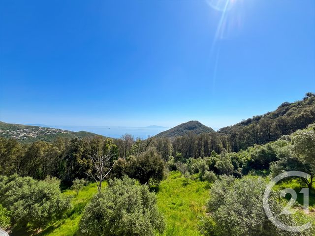 Maison &agrave; vendre - 6 pi&egrave;ces - 169 m2 - San Martino Di Lota - 202 - CORSE