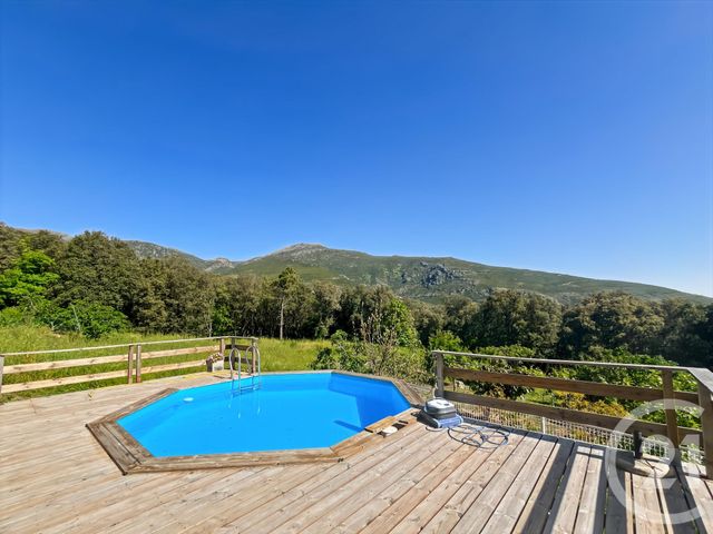 Maison &agrave; vendre - 6 pi&egrave;ces - 169 m2 - San Martino Di Lota - 202 - CORSE