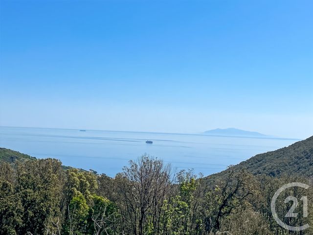 Maison &agrave; vendre - 6 pi&egrave;ces - 169 m2 - San Martino Di Lota - 202 - CORSE