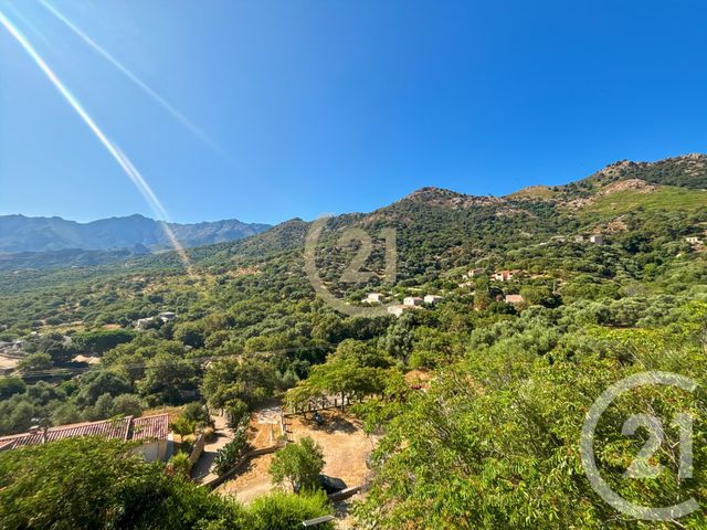 Maison à vendre - 3 pièces - 75 m2 - Avapessa - 202 - CORSE