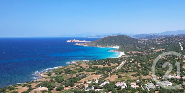 Maison &agrave; vendre - 5 pi&egrave;ces - 148 m2 - Corbara - 202 - CORSE