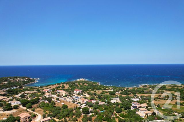 Maison &agrave; vendre - 5 pi&egrave;ces - 148 m2 - Corbara - 202 - CORSE