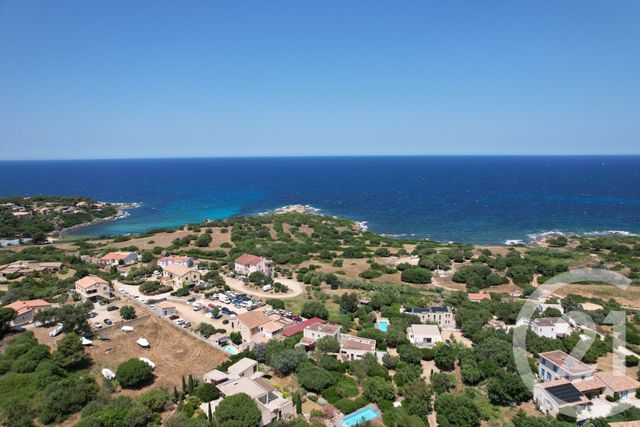 Maison &agrave; vendre - 5 pi&egrave;ces - 148 m2 - Corbara - 202 - CORSE