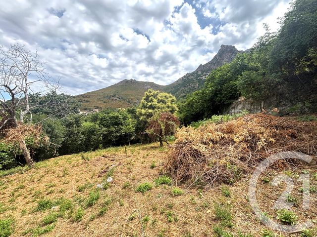 Terrain &agrave; vendre - 1109 m2 - Nessa - 202 - CORSE