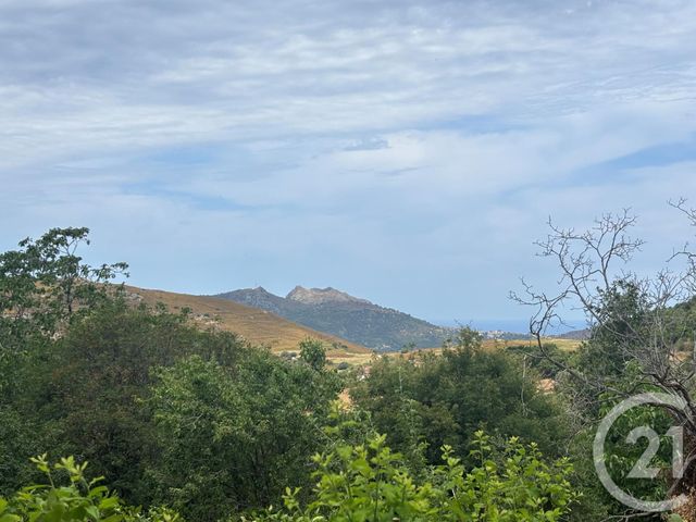 Terrain à vendre - 1109 m2 - Nessa - 202 - CORSE