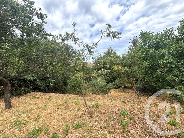 Terrain &agrave; vendre - 1109 m2 - Nessa - 202 - CORSE