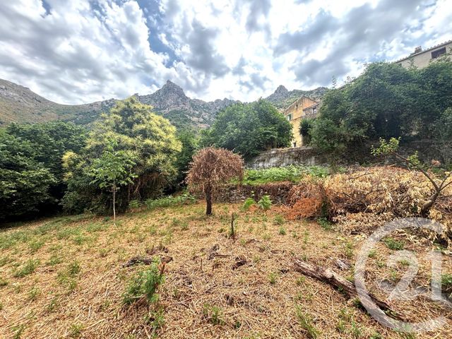 Terrain &agrave; vendre - 1109 m2 - Nessa - 202 - CORSE